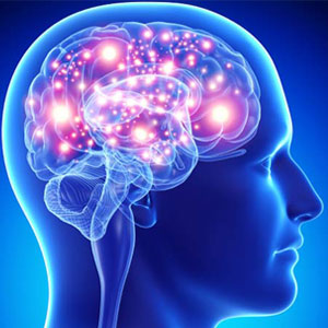 Effects of Testosterone on Your Brain Function