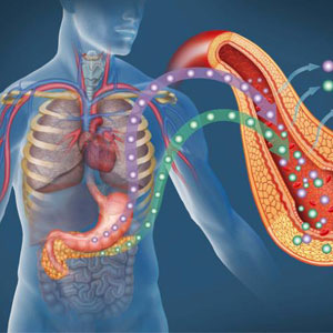 Growth Hormone Deficiency and Insulin Sensitivity Growth Hormone Deficiency and Insulin Sensitivity